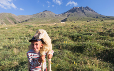 Both Shepherd and Sheep