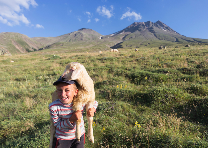 Both Shepherd and Sheep