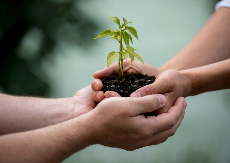 two hands meeting, helping