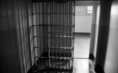 Opening the Cage Door