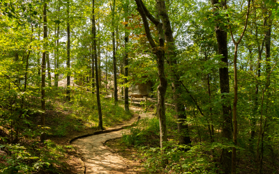 The Road Less Traveled