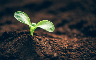 How’s Got the Good Soil?